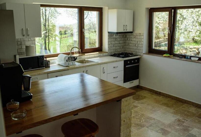 Pensiunea Casa Sofia