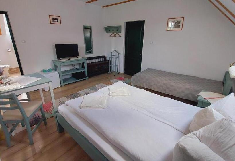 Pensiunea Királylány Vendégház