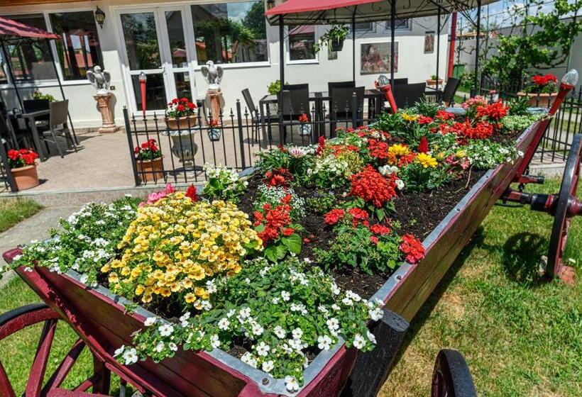 Pensiunea Roma Antica