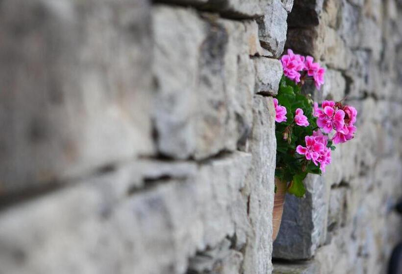 리조트 комплекс куклите