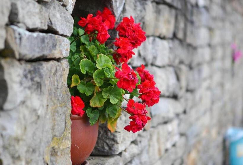 리조트 комплекс куклите