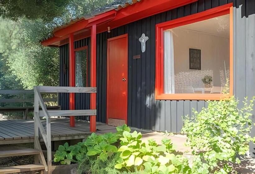 Курорт Cabaña En La Costa De Pelluhue