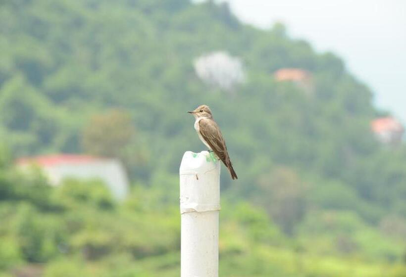 אתר נופש Livada