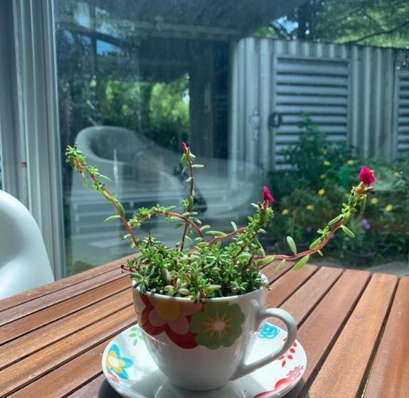 منتجع Nunou Cafe