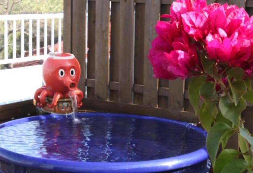 ريوكان Seikaisou