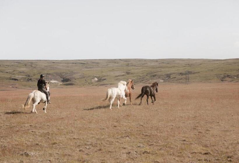 هاستل Fremstaver