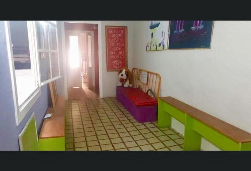 هاستل La Nau Rooms