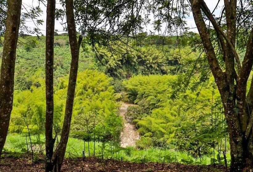 El Sendero Del Quindío I Finca Hotel I Eje Cafetero