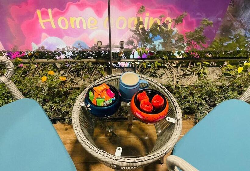 Flamingo Ibiza Hải Tiến Ib527