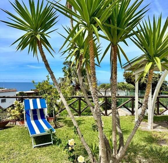 Отель Boutique Ischia