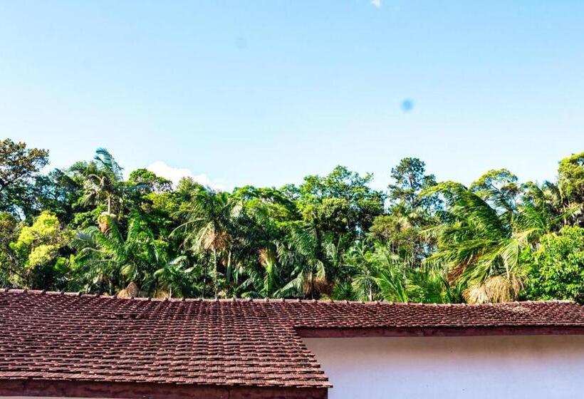 酒店 Br 101 Confort Suítes Joinville