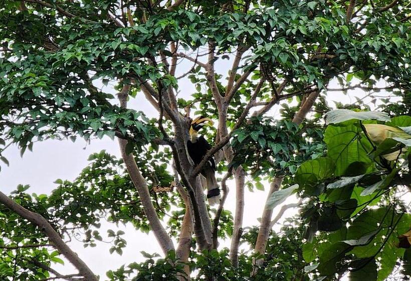 فندق Easy Life Koh Chang