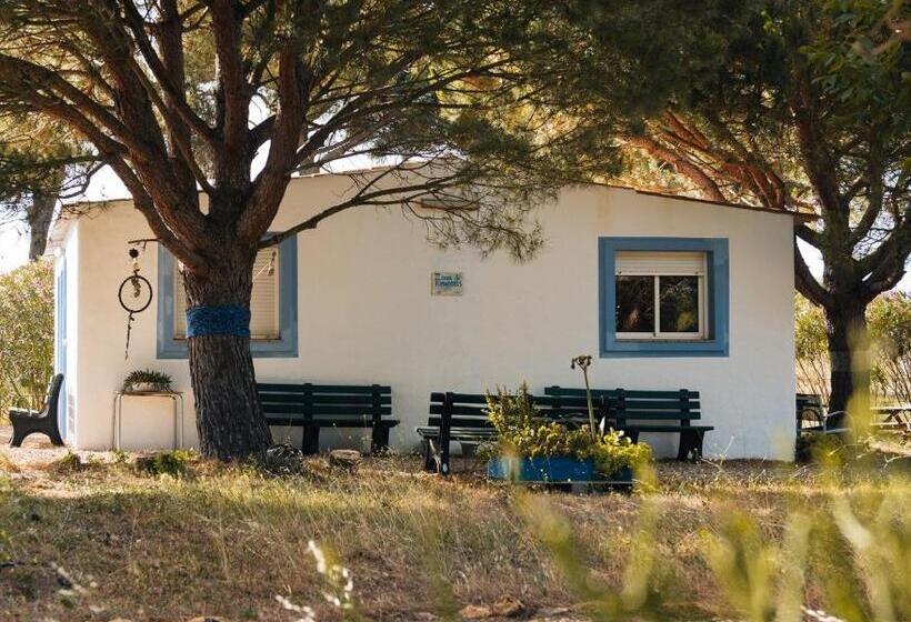 ホテル Habitación Familiar Oasis Anayansi