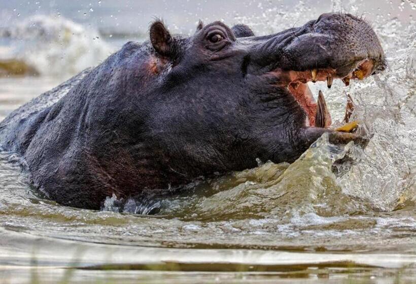 فندق Sable Ranch Thaba Khaya Lodge