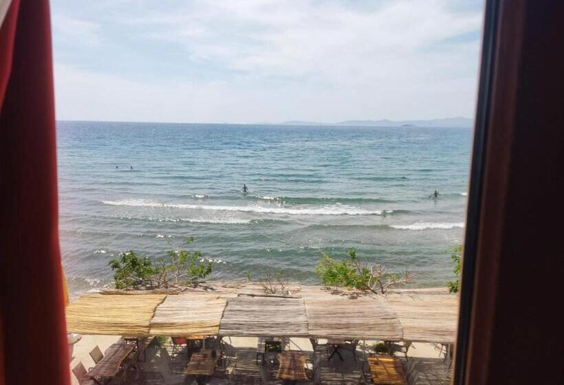 בית מלון כפרי Villa