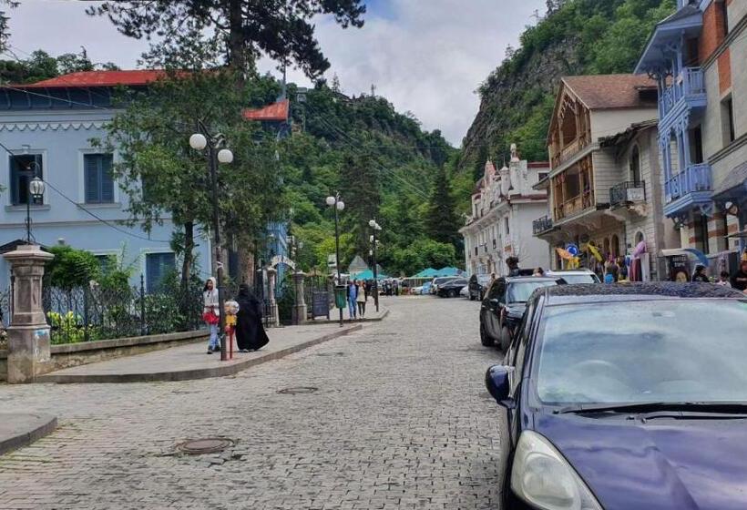 پانسیون Alongside Park Borjomi