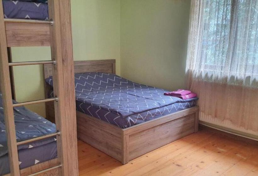 پانسیون Alongside Park Borjomi