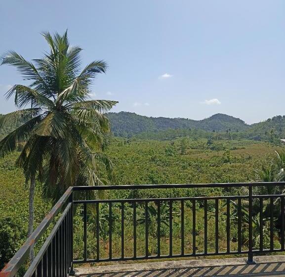 بنسيون D Studio Villa