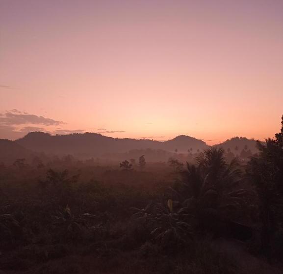 بنسيون D Studio Villa