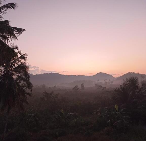 膳宿费 D Studio Villa