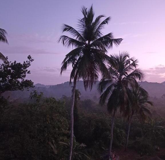 膳宿费 D Studio Villa