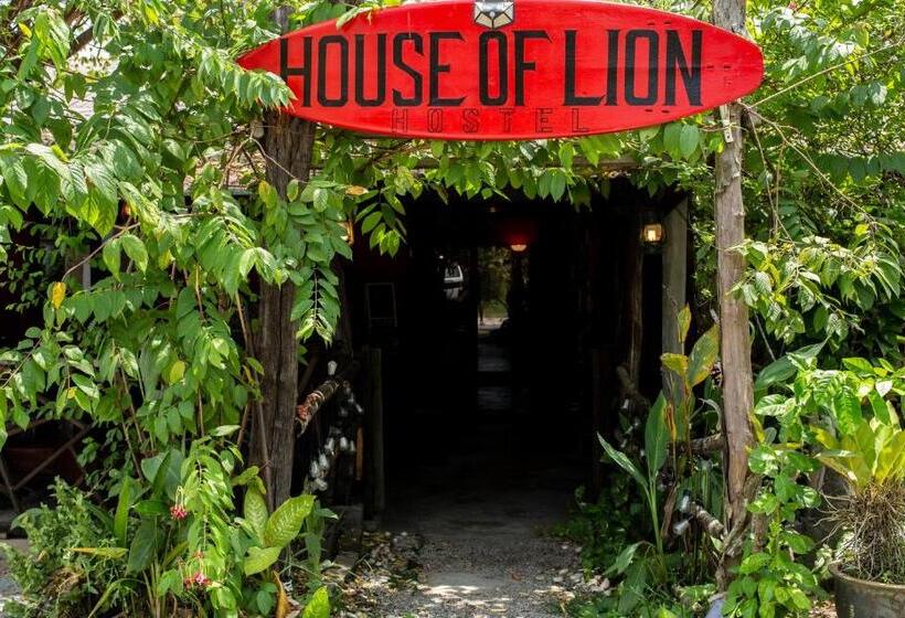 پانسیون House Of Lion Hostel And Guesthouse