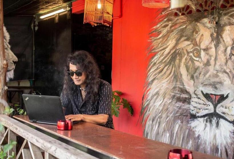 膳宿费 House Of Lion Hostel And Guesthouse