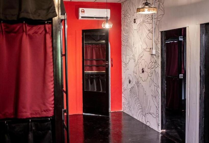 بنسيون House Of Lion Hostel And Guesthouse