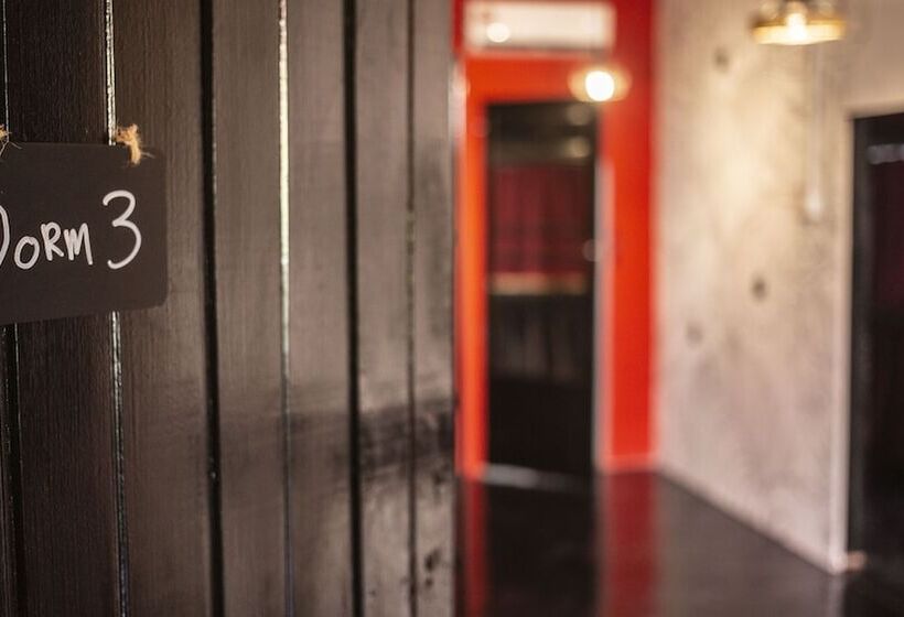 بنسيون House Of Lion Hostel And Guesthouse