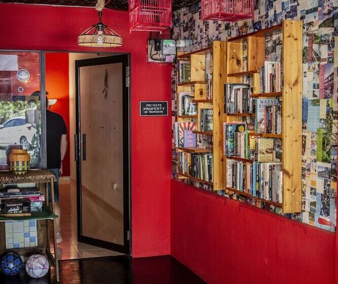 پانسیون House Of Lion Hostel And Guesthouse