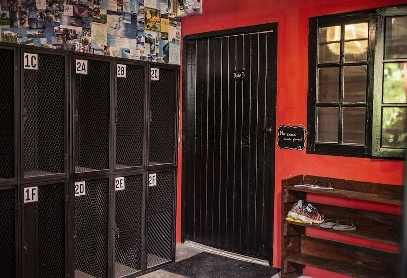 بنسيون House Of Lion Hostel And Guesthouse