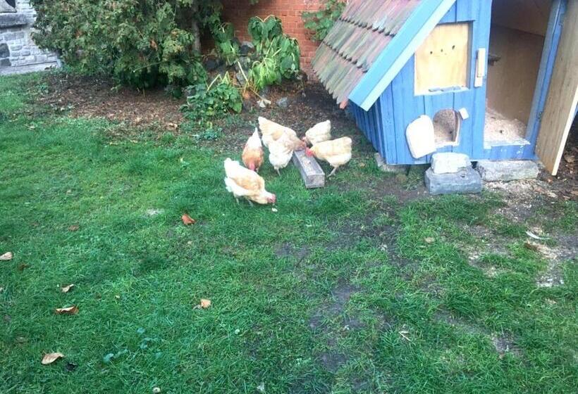 ペンション Bio Kastanienhof Erfurt   Appartements Und Ayurvedische Jurten