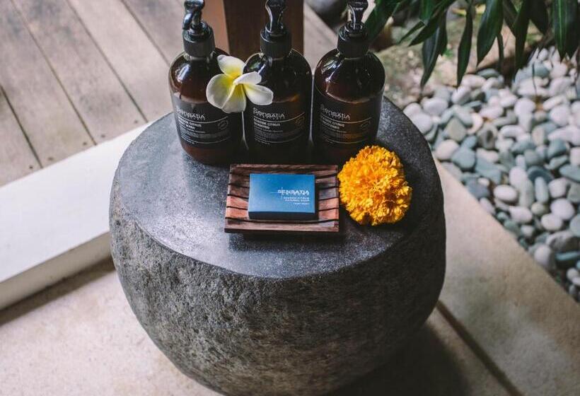 Пансион Melali Bingin