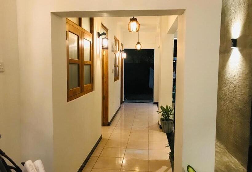 膳宿费 Sithma Villa Ahangama