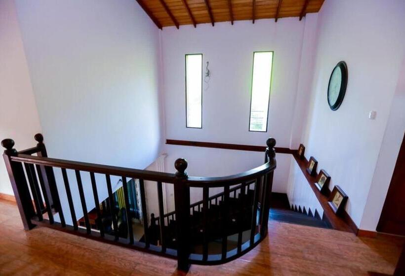 Пансион Villa Layoshi