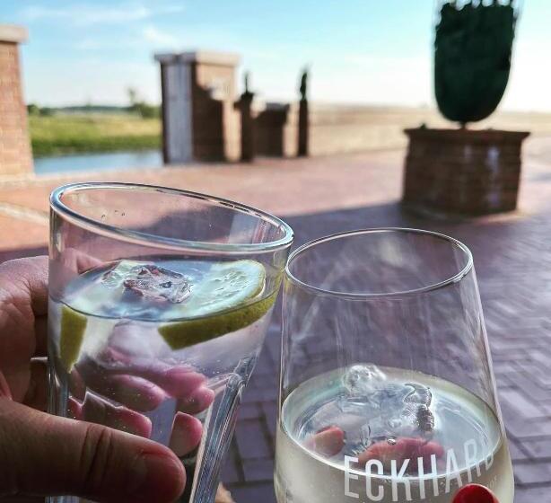 Pension Zum Goldenen Anker Direkt An Der Elbe