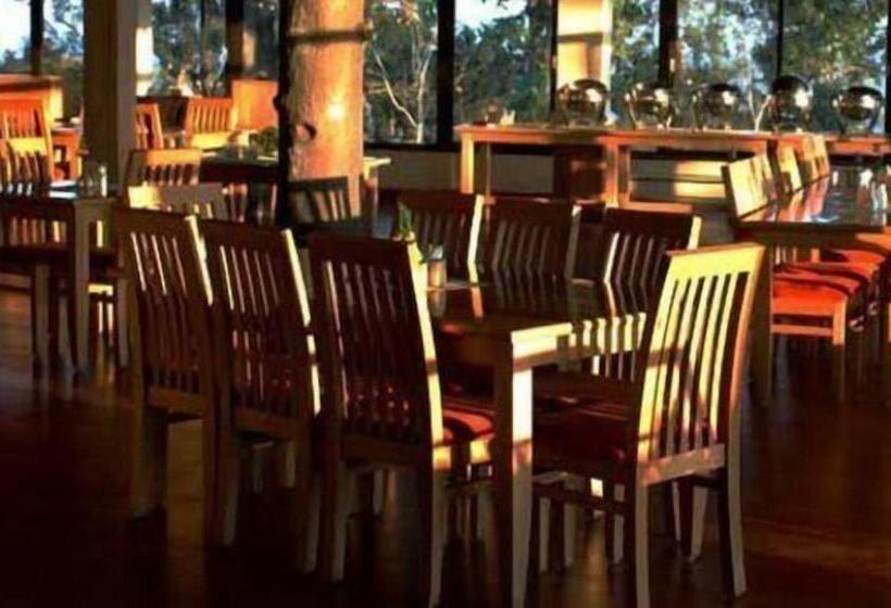 Porcupine Castle Resort Coorg, Pollibetta