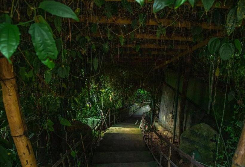 リゾートホテル Ecotones Munnar By Eden Environs