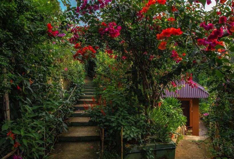 リゾートホテル Ecotones Munnar By Eden Environs