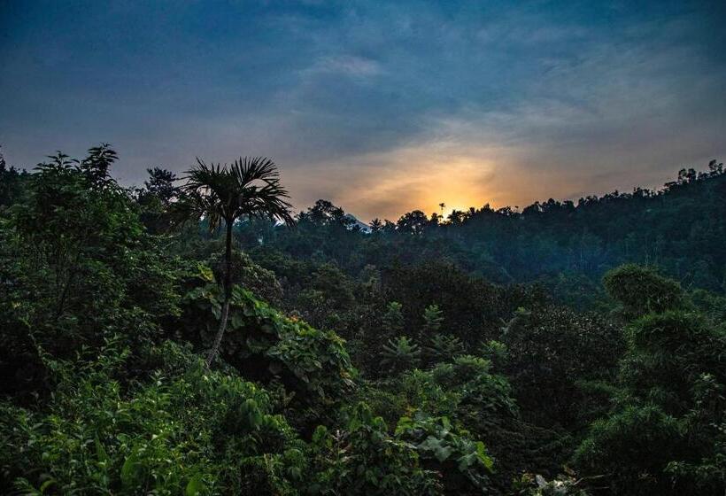 リゾートホテル Ecotones Munnar By Eden Environs