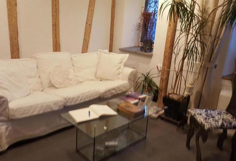 Airport Zürich Elwiras B & B