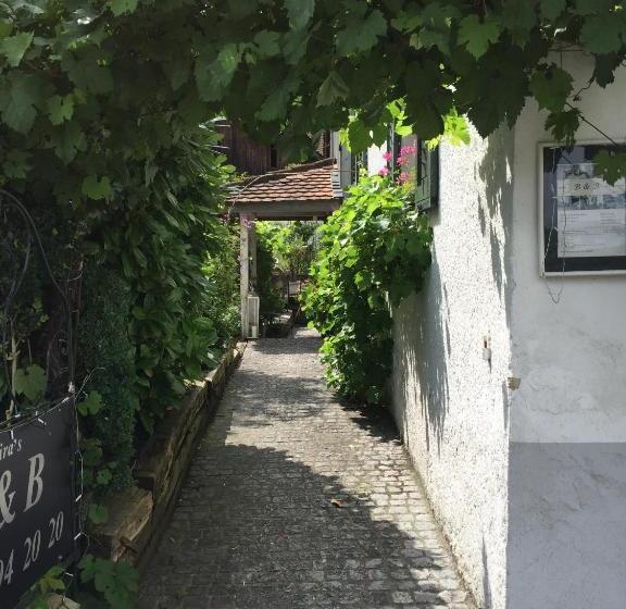 Airport Zürich Elwiras B & B