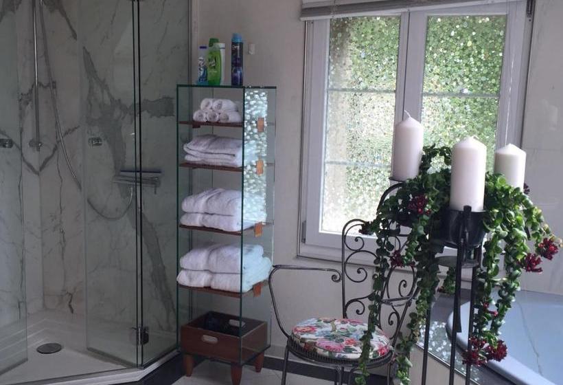 Airport Zürich Elwiras B & B