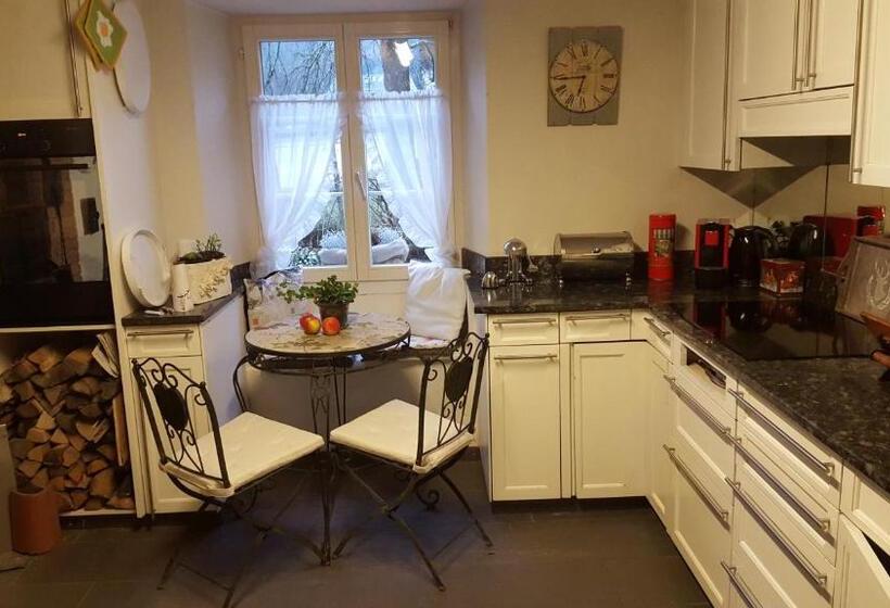 Airport Zürich Elwiras B & B