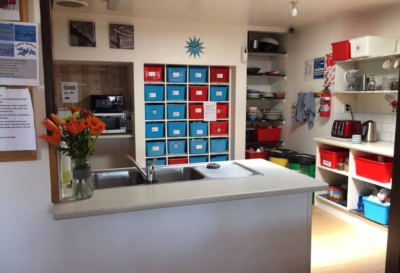 فندق صغير Apple Tree Backpackers