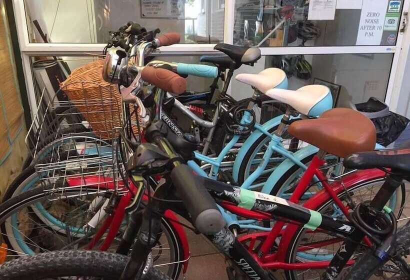 فندق صغير Apple Tree Backpackers