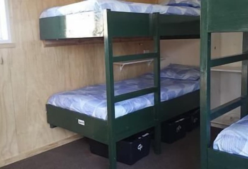 فندق صغير Apple Tree Backpackers