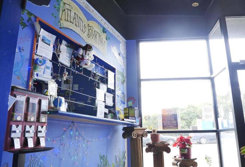 הוסטל Atlantis Backpackers