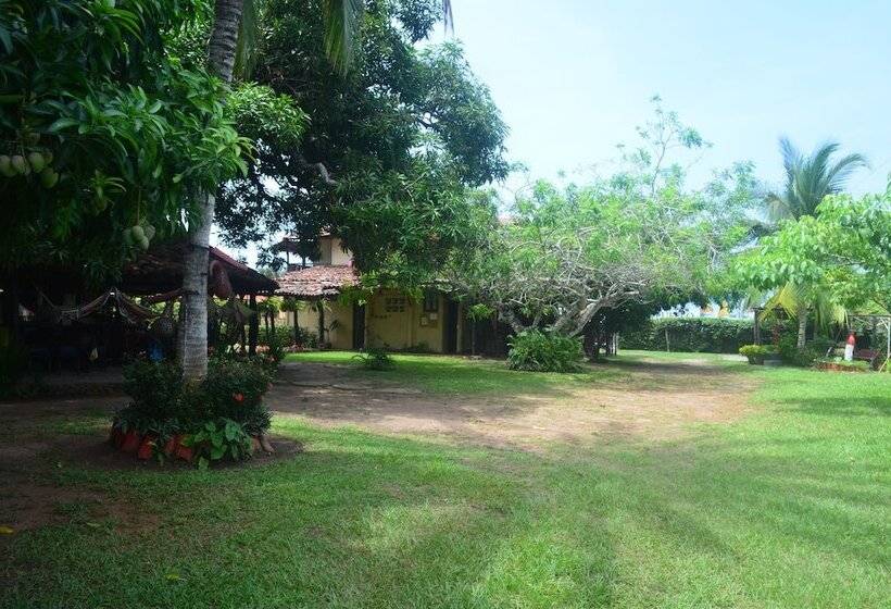 호스텔 Dim S Hostal