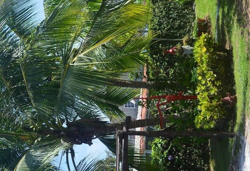 호스텔 Dim S Hostal